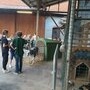 le petit veau attend son prénom
