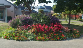 Massif fleuri Place Pflimlin (2016)