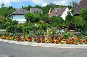 Les bordures fleuries (2008)