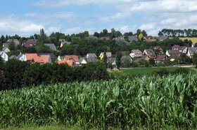Champs de maÃ¯s en bordure du village
