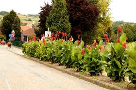 EntrÃ©e fleurie cÃ´tÃ© Durningen (2014)