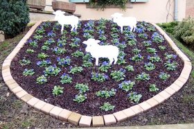 L'Ã©cusson de Kienheim devant la mairie