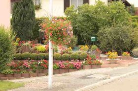 Suspension fleurie (2014)