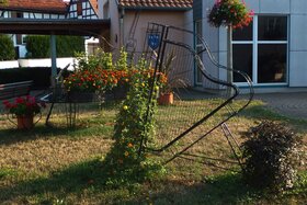 Place Pflimlin, aoÃ »t 2015