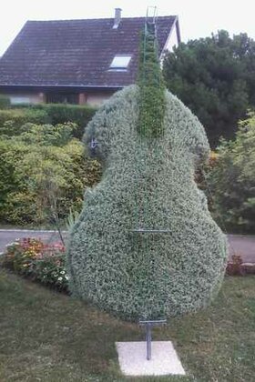 La contrebasse en mosaÃ¯culture (crÃ©ation 2013)